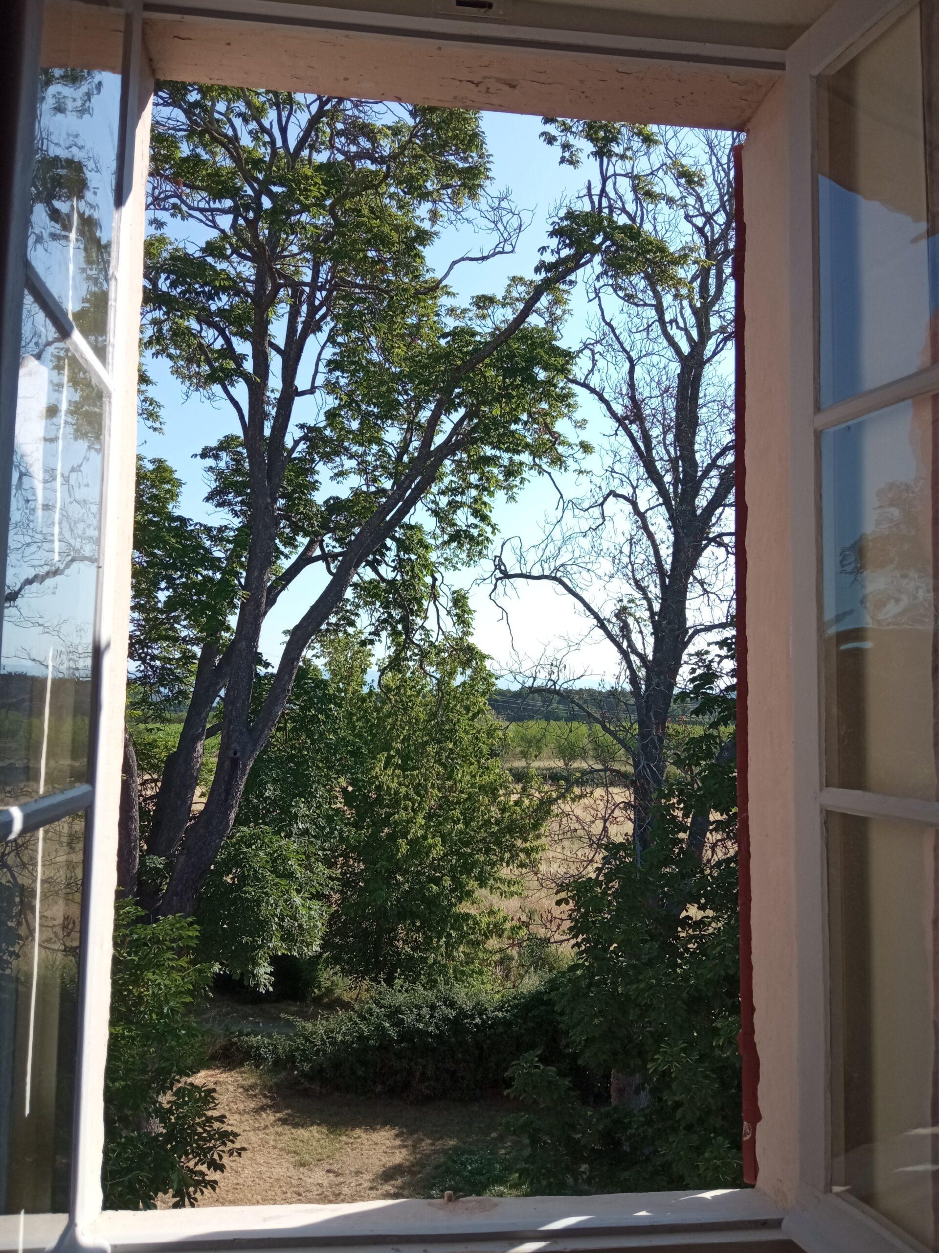 Vue de la chambre 5 du Domaine de Ribbe
