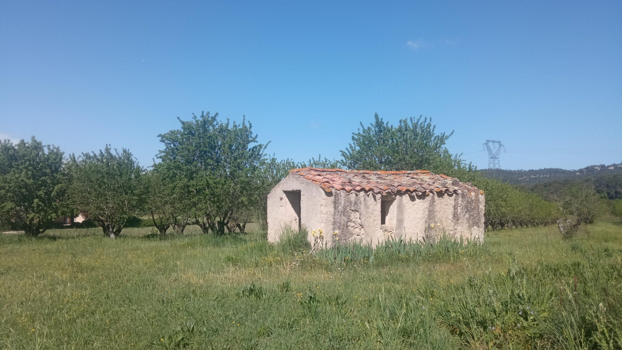 Ancien cabanon provençal en pierre avec toit en tuiles dans un champ en herbe et verger au Domaine de Ribbe