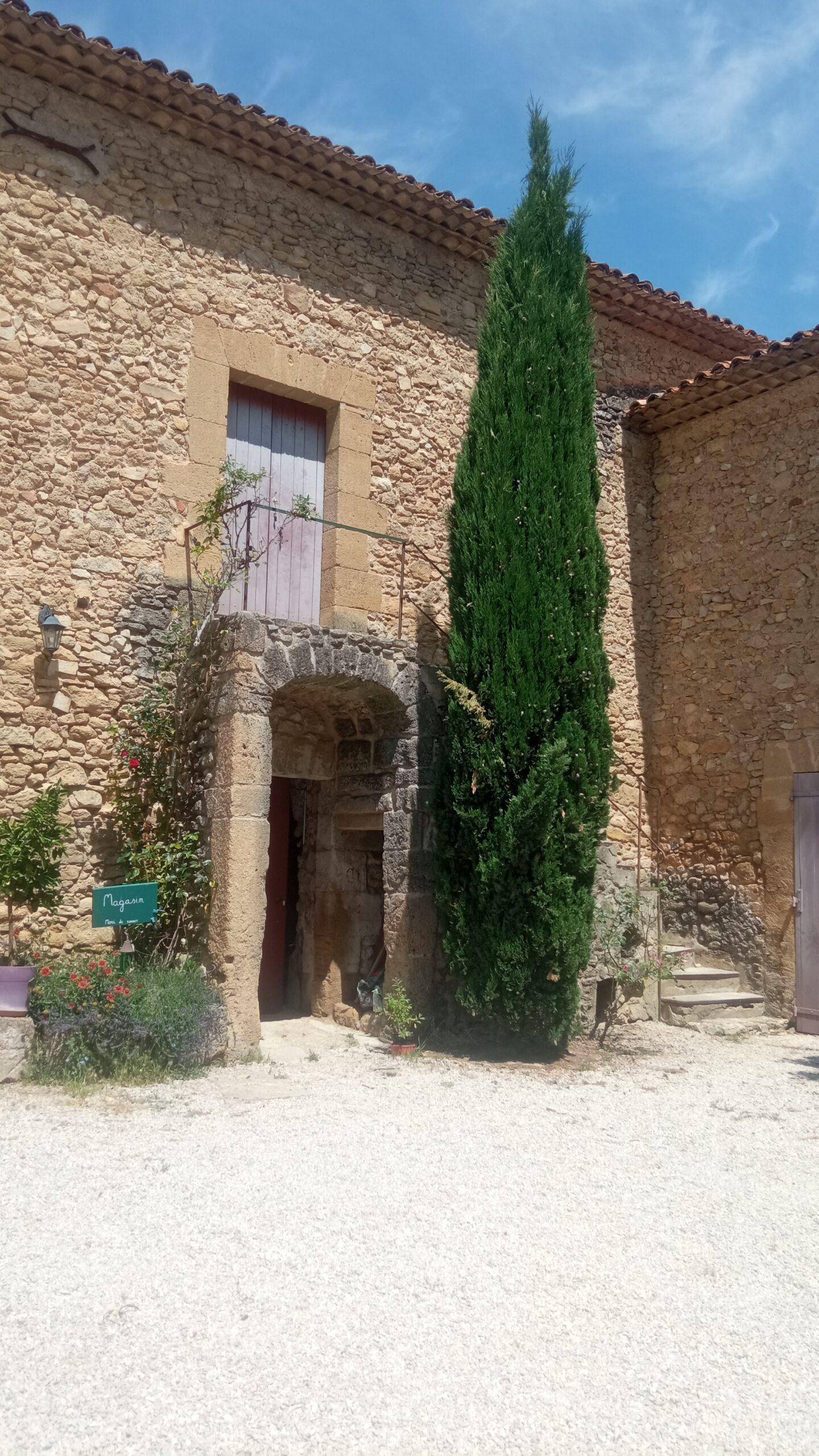 Façade en pierre provençale du Domaine de Ribbe avec un grand cyprès, une entrée voûtée et le panneau du magasin de vente directe