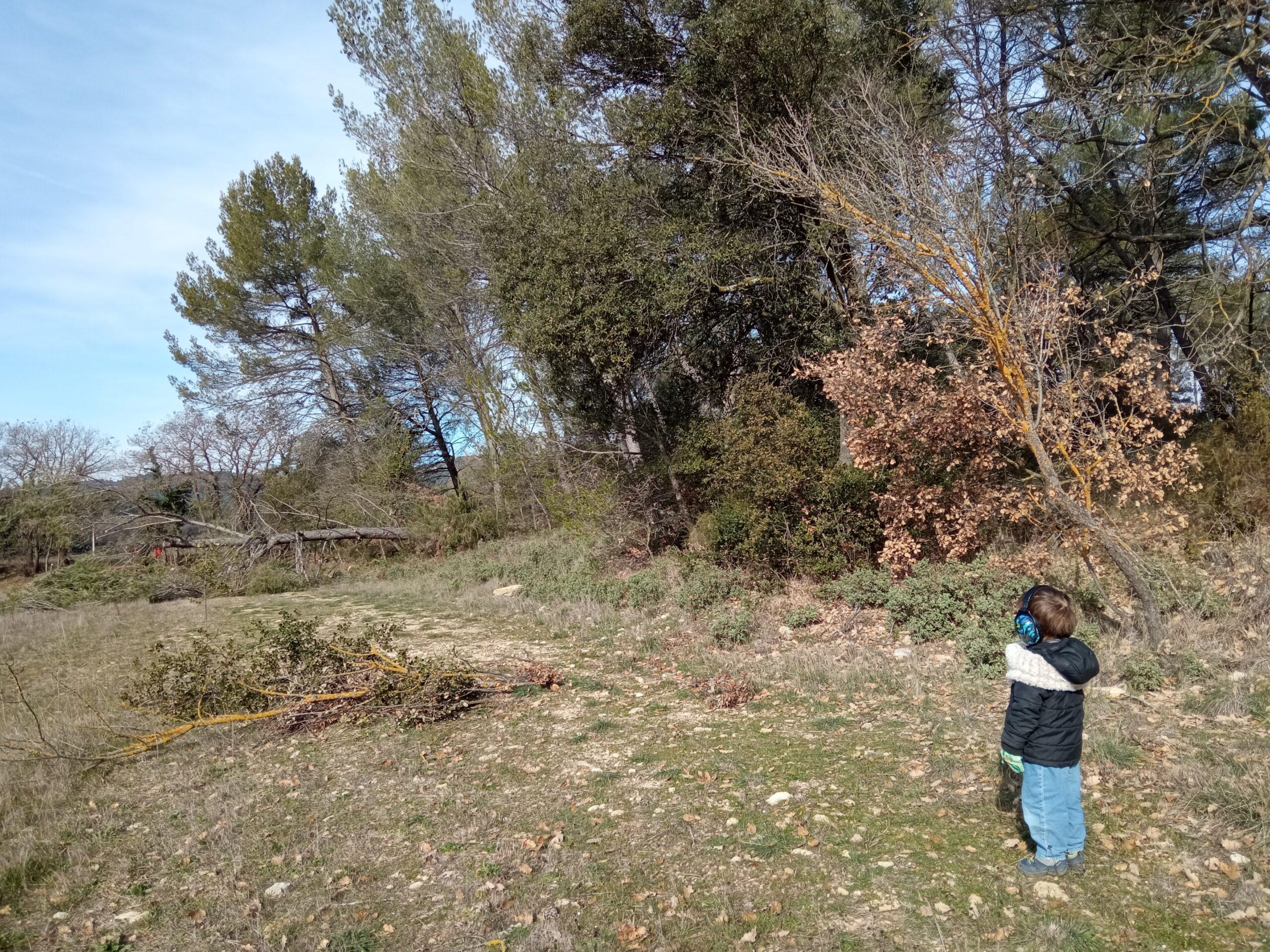 Un jeune enfant portant un casque antibruit observant la nature et les arbres sur le domaine du Domaine de Ribbe à Rognes
