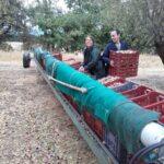 Propriétaires du domaine agricole en pleine récolte au domaine agricole à Rognes