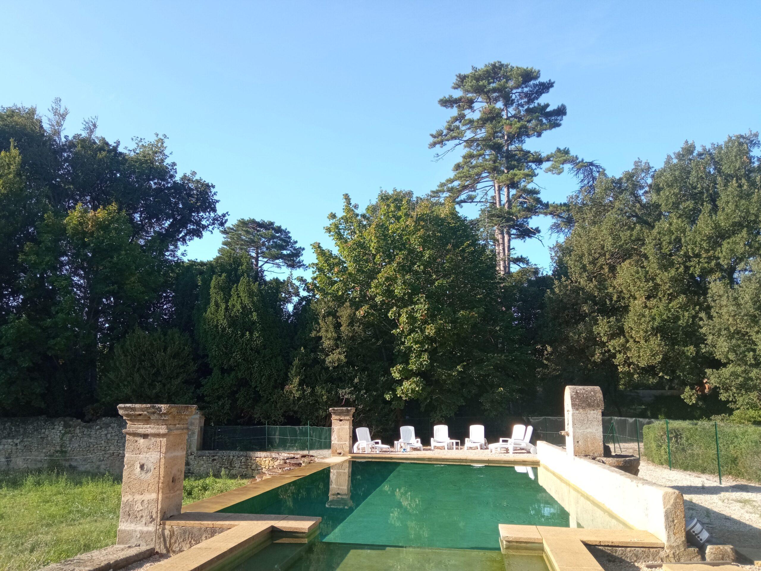 Piscine extérieure du Domaine de Ribbe entourée d'arbres matures, avec des chaises longues installées au bord du bassin.
