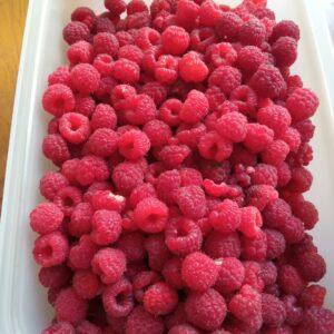framboises fraîches du jardin pour la précommande de petits fruits au Domaine de Ribbe