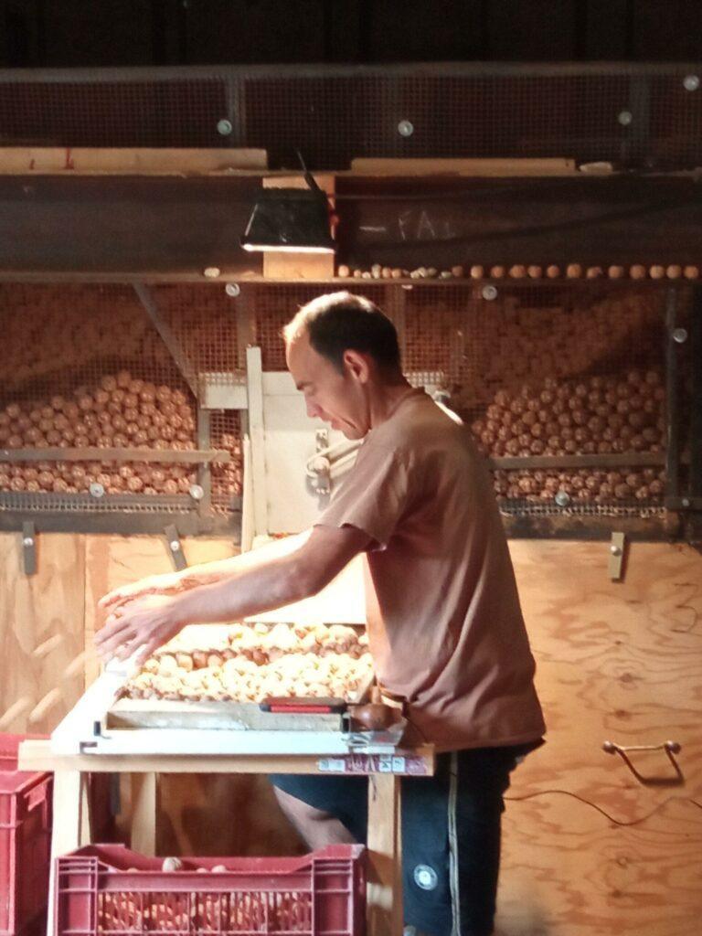 Propriétaire du domaine agricole en plein de travail pendant la saison des amandes au domaine de Ribbe à Rognes